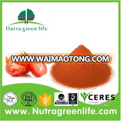 ISO factory supply spray dried tomato powder bulk price no additive